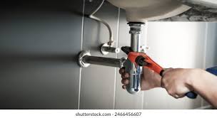 Best Plumbing System Maintenance  in USA